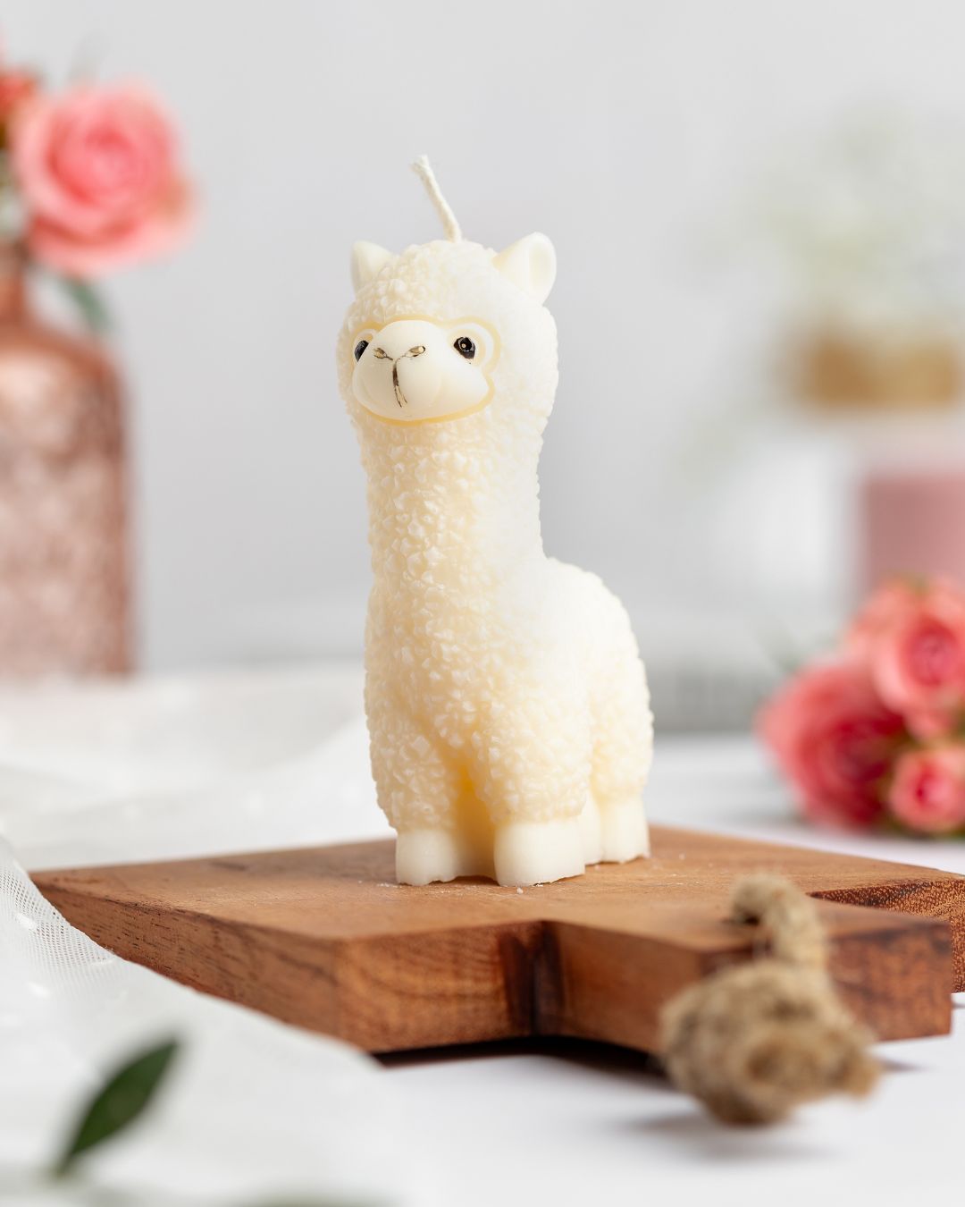 TVOJE SVÍČKA (Příspěvek na Instagramu (4  5)) (9)